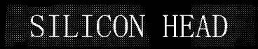 logo Silicon Head